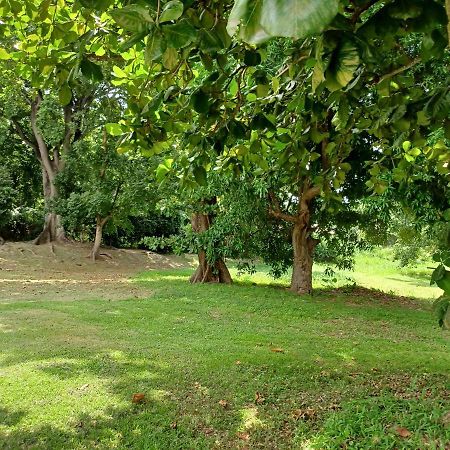 Bungalow Papaye 黑角 外观 照片