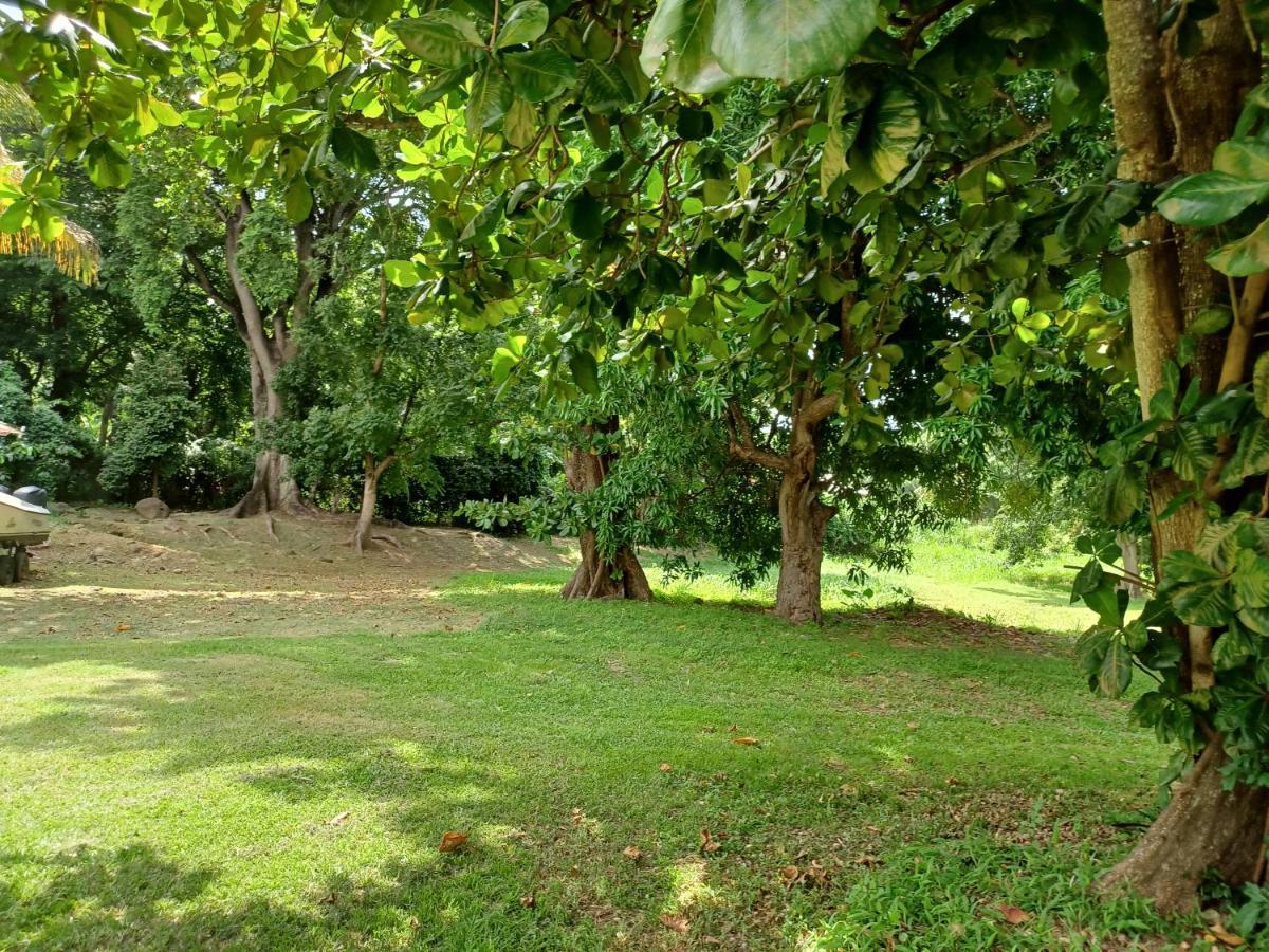 Bungalow Papaye 黑角 外观 照片